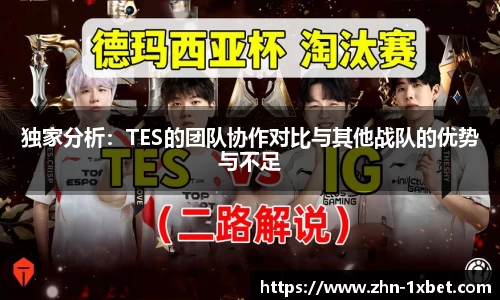 独家分析:TES的团队协作对比与其他战队的优势与不足